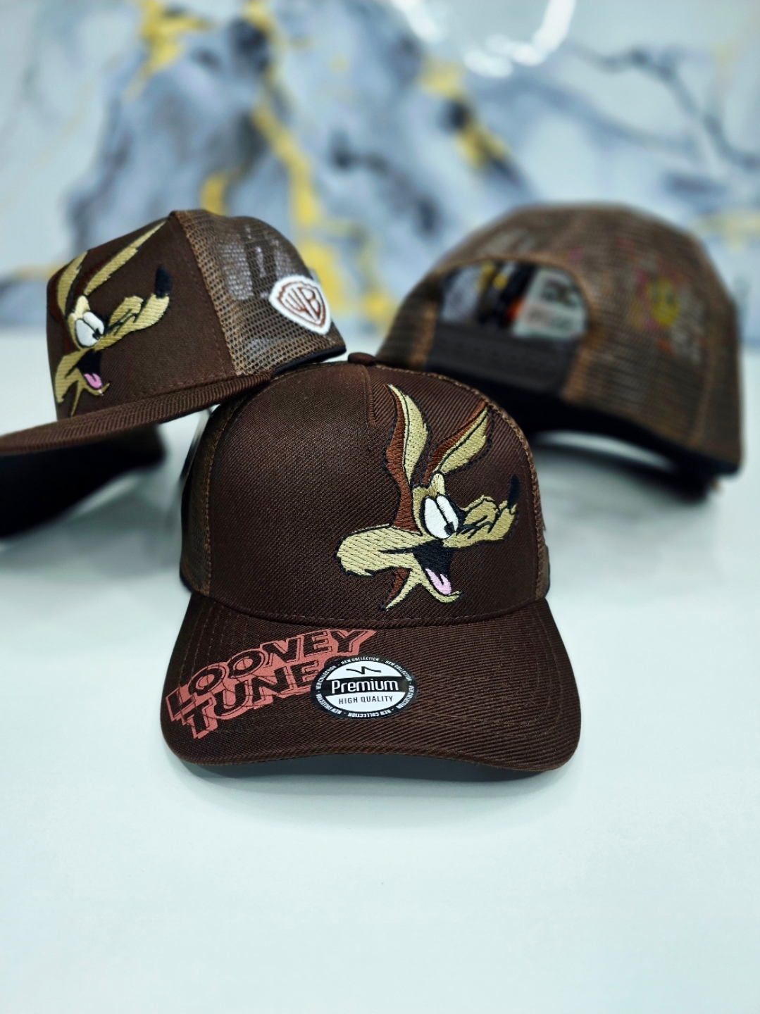 Looney Tunes Coyote